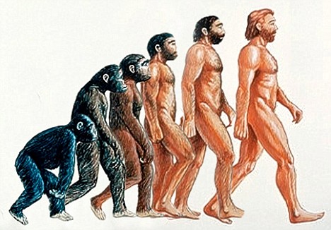 evolution_man